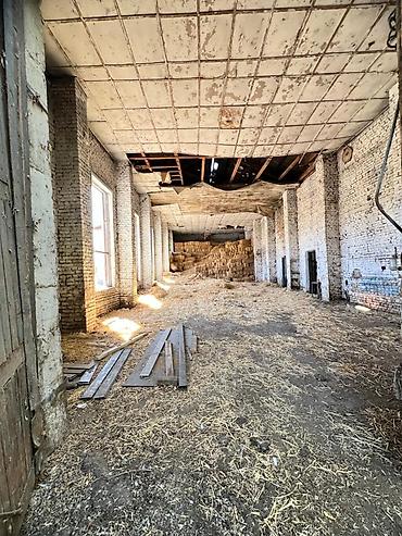 Продажа участков: 250 соток, Красная книга — 4