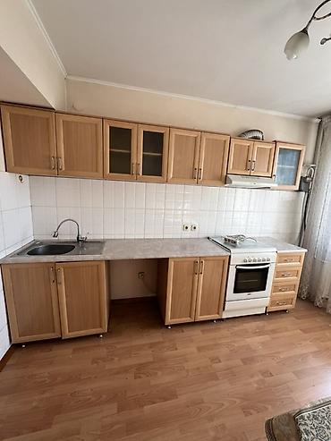 Кухонные гарнитуры: Кухонный гарнитур — 1