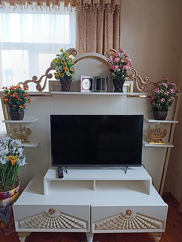 Mebel: Klassik üslubda TV stendi və dekorativ divar paneli - Rəng: ağ — 3