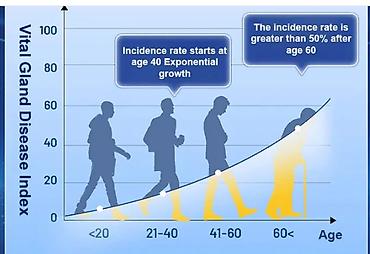 Витамины и БАДы: США профилактика простатита Капсулы для простаты добавка для мужского — 17