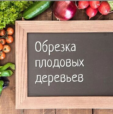 Спил деревьев, заготовка дров: 🌿 Обрезка плодовых деревьев