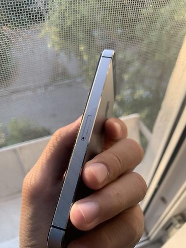 Apple iPhone: IPhone SE, Space Gray at lalafo.kg — 4 Apple iPhone: IPhone SE, Space Gray — 4