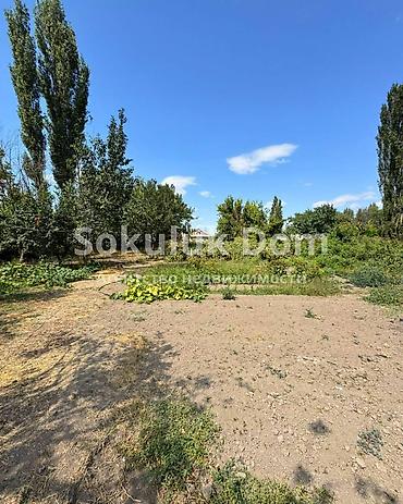 у реки: 🏠Продается дом в с. Гавриловка 🟡 Комнаты: 4 🟡 Участок: 16 соток 🟡 — 6