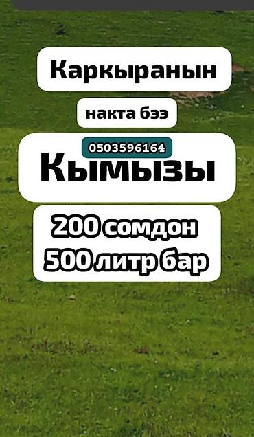 яблоко цена за кг: Каркыра жайлоонун таза кымызы сатылат дүң баасы 200 сомдон 500 литр — 1