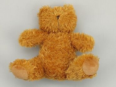 czapka miś: Mascot Teddy bear, condition - Perfect