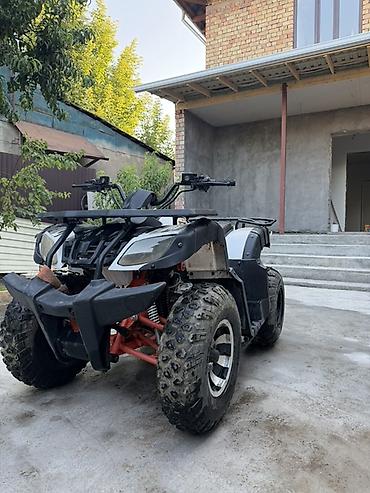 кайо тт 125: Квадроцикл KAYO AU150 (надпись на облицовке/картере). Основные — 3