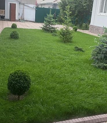 Дизайн, проектирование: Дизайн, Проектирование | Дома — 17