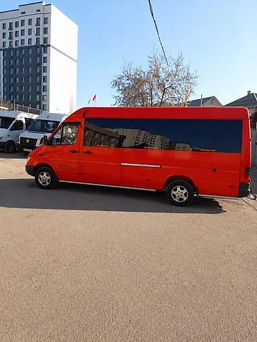 Транспорт: Пассажирские микроавтобусы Mercedes-Benz Sprinter для перевозок — 1