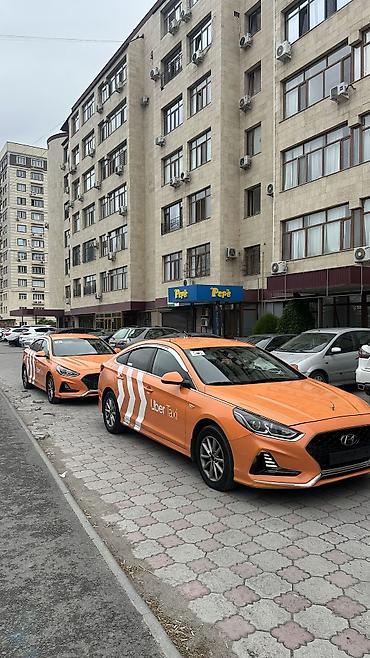 санато 2019: Hyundai Sonata: 2019 г., 2 л, Автомат, Газ, Седан — 2