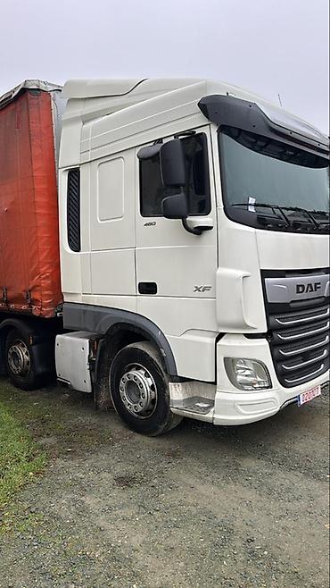 Тягачи: Тягач, DAF, 2020 г., Без прицепа — 5