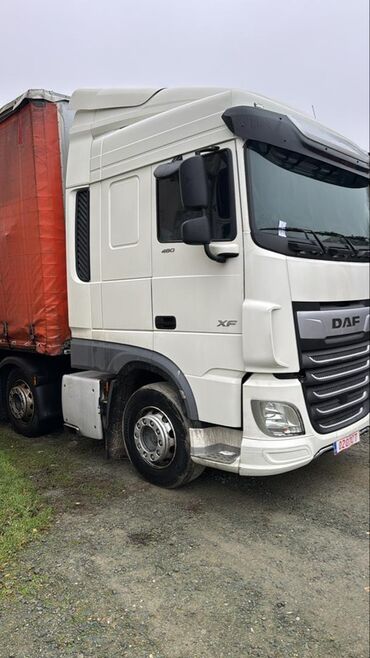 Тягачи: Тягач, DAF, 2020 г., Без прицепа — 6