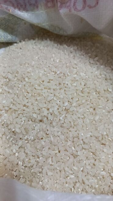 Крупы, мука, сахар: Продаю рис кубанский (россия) . Оптом - от 1-ой ТОННЫ!!!В розницу не
