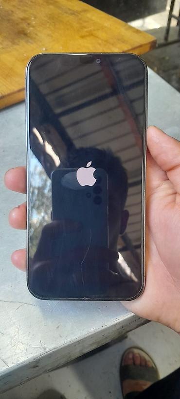 sm57 микрофон: IPhone 12 Pro Max, Б/у, 256 ГБ, Графит, 75 % — 4