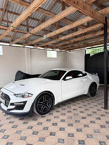 для круп: Ford Mustang: 2018 г., 2.3 л, Купе — 5