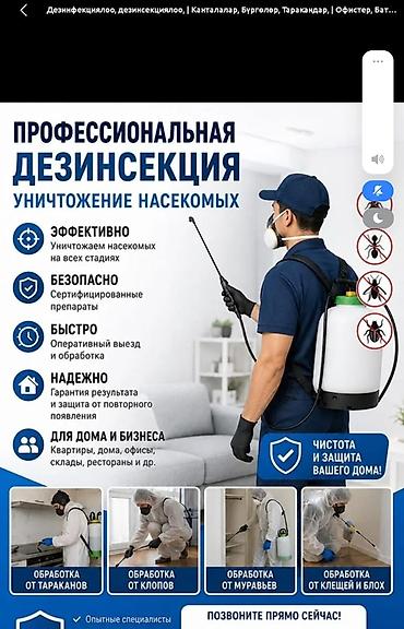 кел кел: Профессиональная дезинсекция и уничтожение насекомых - Полный — 2
