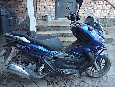 49: Реплика Honda ADV. Самый крупный в своем классе. По документам 49 — 3