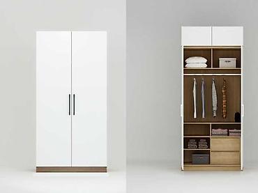 Двухстворчатый шкаф-гардероб с распашными дверцами в современном