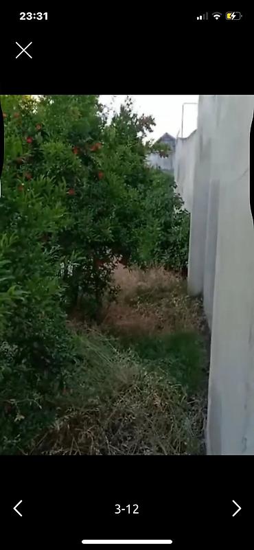 şeki: 240 kv. m, 8 otaq, Kanalizasiya, Kombi, Qaz — 2
