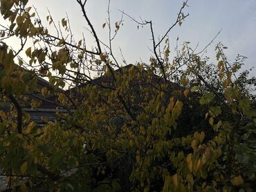 Həyət evləri və villaların satışı: 4 otaqlı, 250 kv. m, Kredit yoxdur, Yeni təmirli — 4