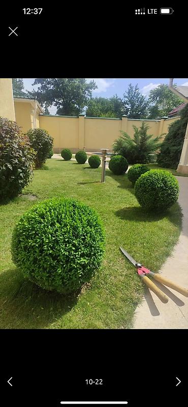 Дворники, садовники: Я садовник приходящий раз в неделю 👷🏻‍♂️🧑🏻‍💻👨🏻‍🎨 дизайнер ландшафт — 9