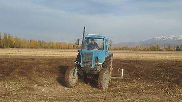 Тракторы МТЗ (Беларус): Модель: 80, Б/у, Трактор с другими агрегатами — 6