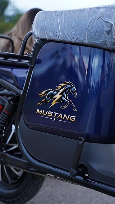 пружины от мотоцикла: Электроскутер MUSTANG — городской электротранспорт с увеличенной — 6