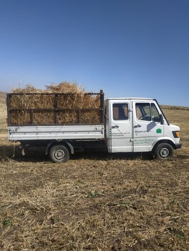 машина кейж: Mercedes-Benz 290: 1995 г., 2.9 л, Механика, Дизель, Van