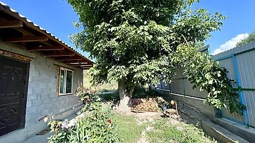 Продажа дачи: 🚨 Шашылыш сатылат! 🏡 Сокулук району, «Вишенка» дача конушу ✨ Табияты at lalafo.kg — 11 Продажа дачи: 🚨 Шашылыш сатылат! 🏡 Сокулук району, «Вишенка» дача конушу ✨ Табияты — 11