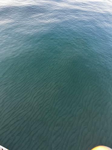 Иссык-Куль 2026: Коттедж, Коттедж 84А ЦО Радуга West, Кош-Кол, Детская площадка, Парковка, стоянка, Охраняемая территория — 5