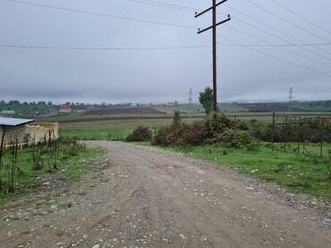 Torpaq sahələrinin satışı: 100 sot, Kənd təsərrüfatı, Mülkiyyətçi, Kupça (Çıxarış) — 6