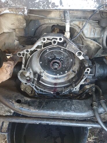 Коробки передач: Voslvrgin Passat karofqa sl dl
