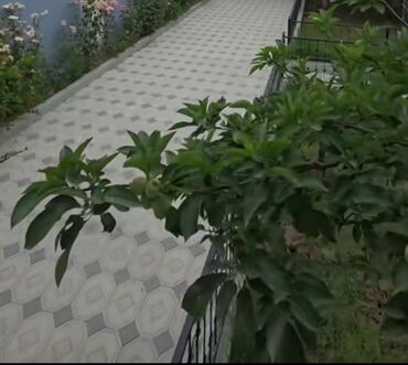 Həyət evləri və villaların satışı: 4 otaqlı, 120 kv. m, Yeni təmirli -da lalafo.az — 12 Həyət evləri və villaların satışı: 4 otaqlı, 120 kv. m, Yeni təmirli — 12