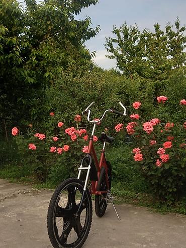velo satışı: Münasib qiymətə satılır! istiyən maraqlanan (0703615600) bu nömrəylə — 1
