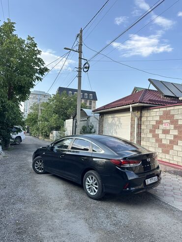 Hyundai: Hyundai Sonata: 2020 г., 2 л, Автомат, Газ, Седан — 3