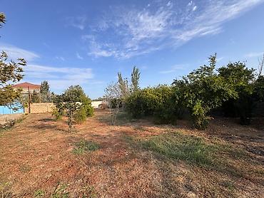 Torpaq: 4 sot, Mülkiyyətçi, Kupça (Çıxarış) — 9