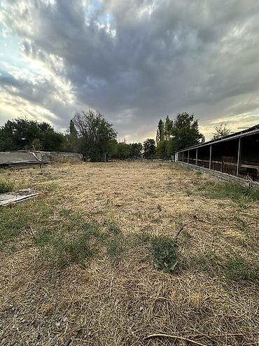 Продажа коттеджей и домов: Торг имеется! 16 соток Большой сарай для скота Дом с большой — 13
