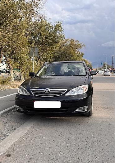 lexus sedan: Toyota Camry: 2003 г., 2.4 л, Автомат, Бензин, Седан — 1