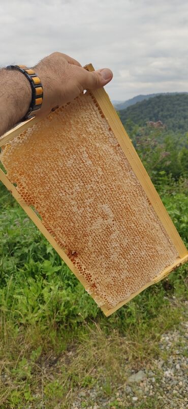 Bal: Elf bee's 1977 eco product for health and longevity tovuzun -da lalafo.az — 8 Bal: Elf bee's 1977 eco product for health and longevity tovuzun — 8