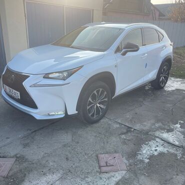 Lexus: Lexus NX: 2017 г., Кроссовер — 1