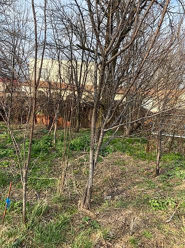 Другие удобства для дома и сада: Другие удобства для дома и сада, Самовывоз — 9