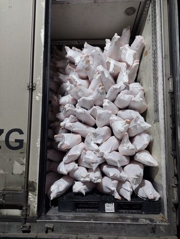 İçkilər: Topdan qoyun atlari monqolsdan bir basa Azarbaygana