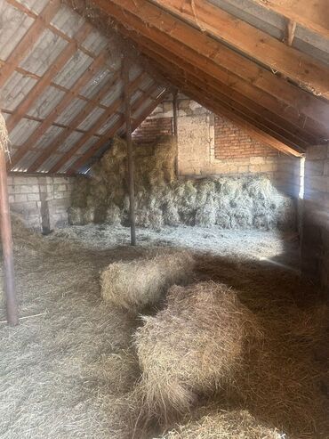 Torpaq sahələrinin satışı: 100 sot, Kənd təsərrüfatı, Makler, Kupça (Çıxarış) — 7