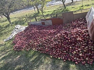 токмок бетон: Алмалар Дүң — 4