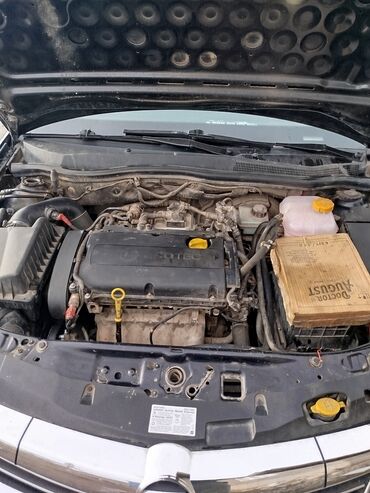 Opel: Opel Astra: 2010 г., 1.6 л, Механика, Бензин, Седан — 4