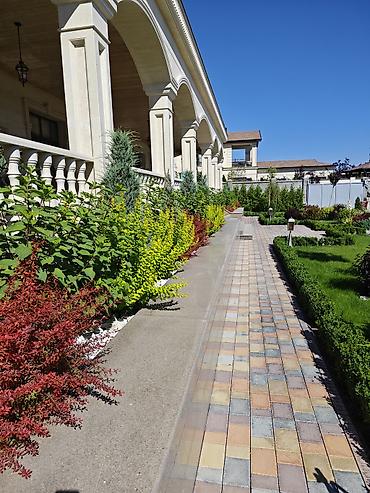 Ремонт под ключ: АВТОПОЛИВ и ОЗЕЛЕНЕНИЕ Ландшафтный дизайн ### Вашего — 23