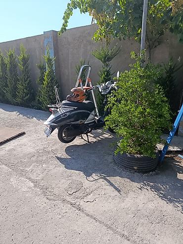 muravey satılır: Şəhər içi hərəkət üçün praktik skuter - Yanacaqla işləyən skuter — 3