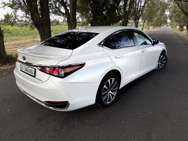 Lexus: Lexus ES: 2020 г., 2.5 л, Вариатор, Гибрид, Седан — 8