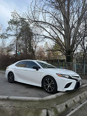 highlander 2017: Toyota Camry: 2019 г., 2.5 л, Автомат, Бензин, Седан — 3