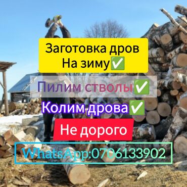 распил дрова: Заготовка дров на зиму не дорого теги: #колимдрова #пилимдеревя #спил