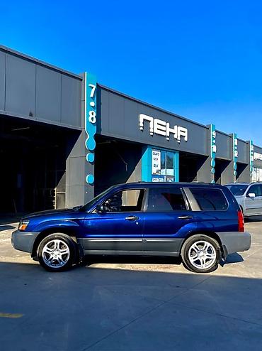субару бажа: Subaru Forester: 2004 г., 2.5 л, Автомат, Бензин, Универсал — 6